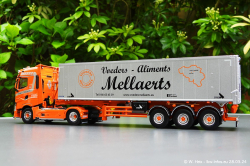 20240328-Mellaerts-00026