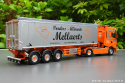 20240328-Mellaerts-00030