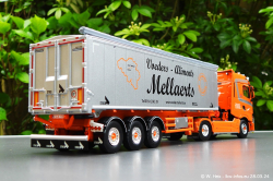 20240328-Mellaerts-00032