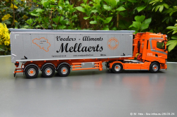 20240328-Mellaerts-00034