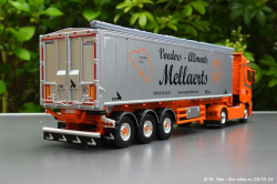 20240328-Mellaerts-00037