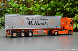 20240328-Mellaerts-00039