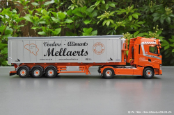 20240328-Mellaerts-00041