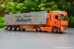 20240328-Mellaerts-00049