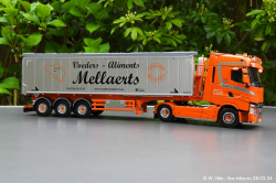 20240328-Mellaerts-00050