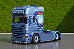 sneepels 06
