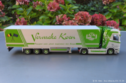 20241003-Vervaeke-00302