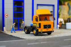 20251206-MAN-F8-19321-orange-00036