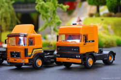 20251206-alle-DAF-MAN-MB-Scania-orange-00015