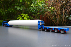 20250126-Adams-P-00447