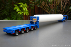 20250126-Adams-P-00459