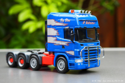 20250126-Adams-P-00333