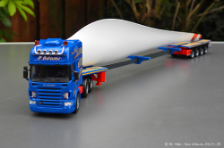 20250126-Adams-P-00516