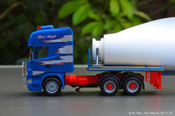 20250126-Adams-P-00736