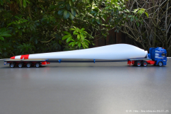 20250126-Adams-P-00768