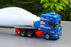 20250126-Adams-P-00770