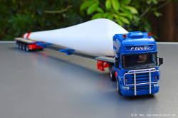 20250126-Adams-P-00773