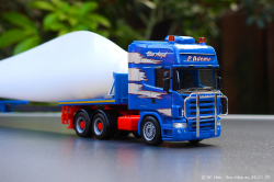 20250126-Adams-P-00782