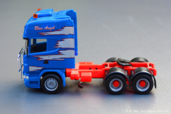 20250126-Adams-P-00793