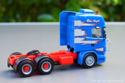 20250126-Adams-P-00800