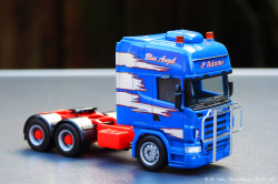 20250126-Adams-P-00807