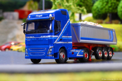 20260131-Augst-00010