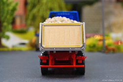 20260131-Augst-00031