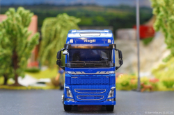 20260131-Augst-00060