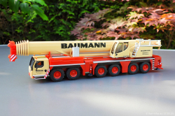 20250521-Baumann-00159