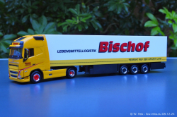 20241207-Bischof-00002