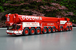 colonia 01