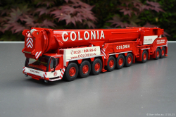 20250517-Colonia-00003
