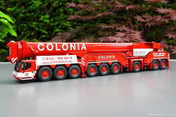 20250517-Colonia-00005