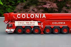 20250517-Colonia-00007