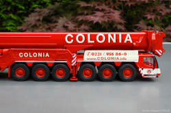 20250517-Colonia-00027