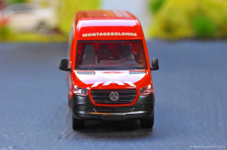 20251024-Colonia-00022