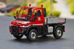 20251030-Colonia-00003