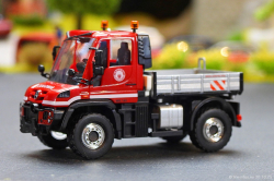 20251030-Colonia-00004