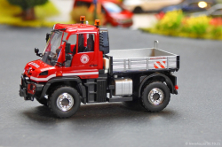 20251030-Colonia-00005