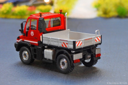 20251030-Colonia-00009