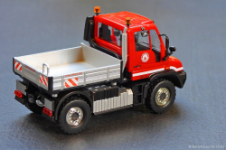 20251030-Colonia-00014