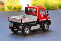 20251030-Colonia-00015