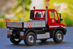 20251030-Colonia-00016