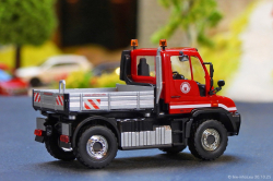 20251030-Colonia-00017