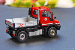 20251030-Colonia-00018