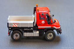 20251030-Colonia-00019