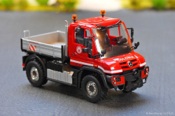 20251030-Colonia-00021