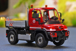 20251030-Colonia-00023