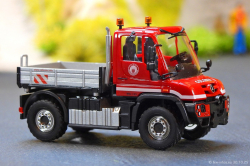 20251030-Colonia-00024