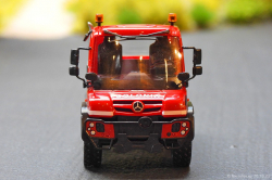 20251030-Colonia-00026